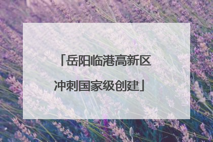 岳阳临港高新区冲刺国家级创建