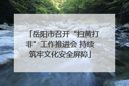 岳阳市召开“扫黄打非”工作推进会 持续筑牢文化安全屏障