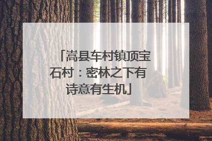 嵩县车村镇顶宝石村：密林之下有诗意有生机