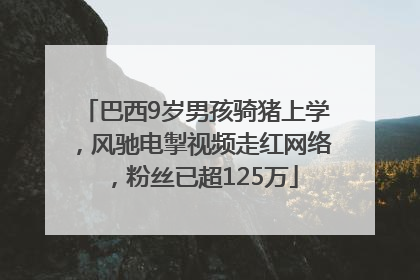 巴西9岁男孩骑猪上学，风驰电掣视频走红网络，粉丝已超125万