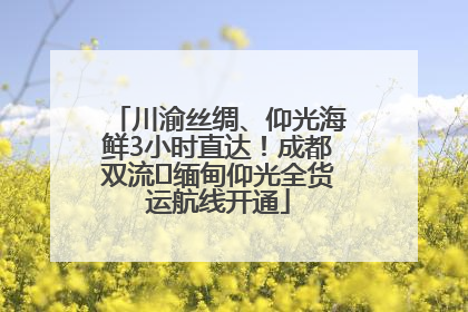 川渝丝绸、仰光海鲜3小时直达！成都双流⇌缅甸仰光全货运航线开通