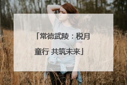常德武陵：税月童行 共筑未来