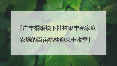 广丰桐畈镇下社村果丰苑家庭农场的百亩桃林迎来丰收季