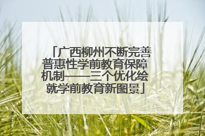 广西柳州不断完善普惠性学前教育保障机制——三个优化绘就学前教育新图景