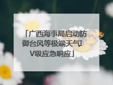 广西海事局启动防御台风等极端天气IV级应急响应
