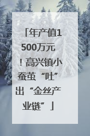 年产值1500万元！高兴镇小蚕茧“吐”出“金丝产业链”