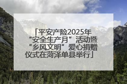 平安产险2025年“安全生产月”活动暨“乡风文明”爱心捐赠仪式在菏泽单县举行