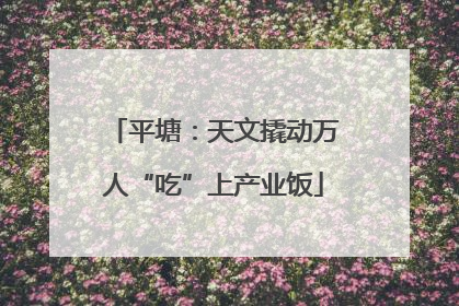 平塘：天文撬动万人“吃”上产业饭
