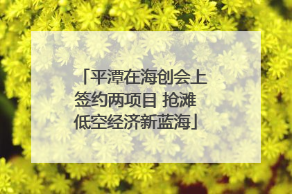 平潭在海创会上签约两项目 抢滩低空经济新蓝海
