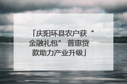庆阳环县农户获“金融礼包” 普惠贷款助力产业升级