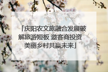 庆阳农文旅融合发展破解旅游短板 邀客商投资美丽乡村共赢未来