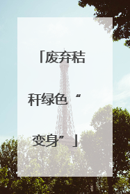 废弃秸秆绿色“变身”