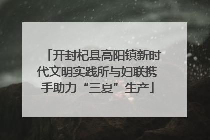 开封杞县高阳镇新时代文明实践所与妇联携手助力“三夏”生产