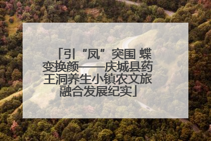 引“凤”突围 蝶变换颜——庆城县药王洞养生小镇农文旅融合发展纪实