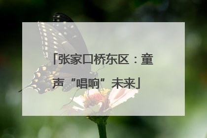 张家口桥东区：童声“唱响”未来