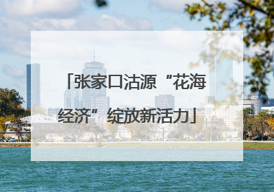张家口沽源“花海经济”绽放新活力