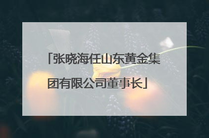 张晓海任山东黄金集团有限公司董事长