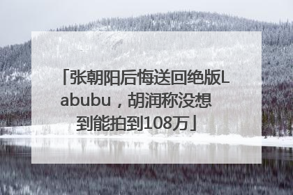 张朝阳后悔送回绝版Labubu，胡润称没想到能拍到108万