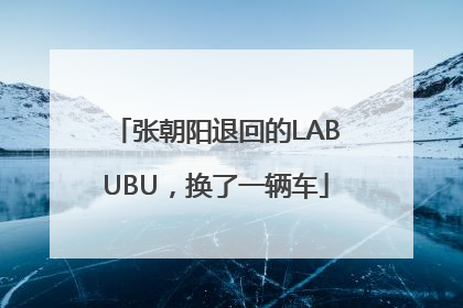 张朝阳退回的LABUBU，换了一辆车