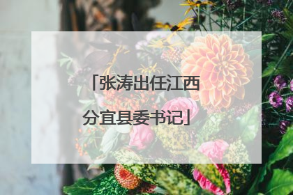 张涛出任江西分宜县委书记