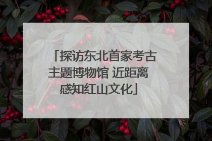 探访东北首家考古主题博物馆 近距离感知红山文化