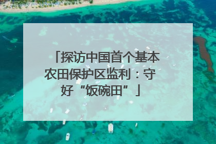 探访中国首个基本农田保护区监利：守好“饭碗田”