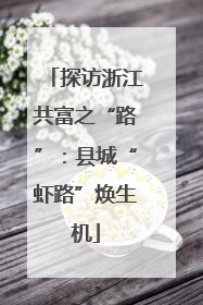 探访浙江共富之“路”：县城“虾路”焕生机