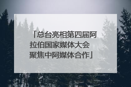 总台亮相第四届阿拉伯国家媒体大会 聚焦中阿媒体合作