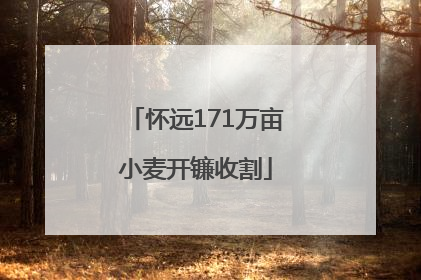 怀远171万亩小麦开镰收割