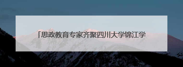 思政教育专家齐聚四川大学锦江学院共研大中小学思政教育一体化
