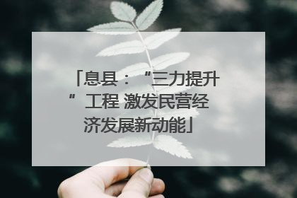 息县：“三力提升”工程 激发民营经济发展新动能