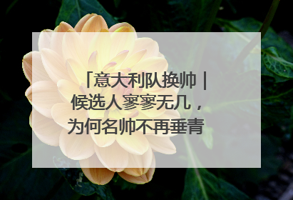 意大利队换帅｜候选人寥寥无几，为何名帅不再垂青“蓝衣军团”？