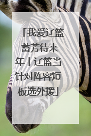 我爱辽篮 蓄芳待来年丨辽篮当针对阵容短板选外援