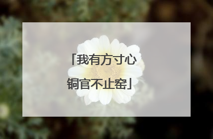 我有方寸心 铜官不止窑
