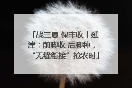 战三夏 保丰收丨延津：前脚收 后脚种，“无缝衔接”抢农时