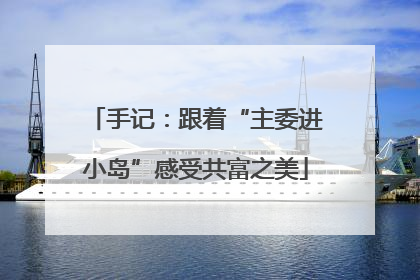手记：跟着“主委进小岛”感受共富之美