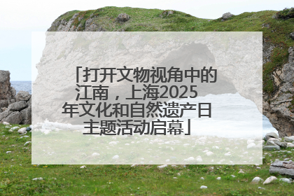 打开文物视角中的江南，上海2025年文化和自然遗产日主题活动启幕