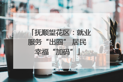 抚顺望花区：就业服务“出圈” 居民幸福“加码”
