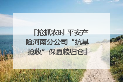 抢抓农时 平安产险河南分公司“抗旱抢收”保夏粮归仓