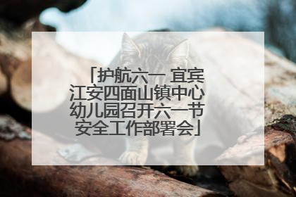 护航六一 宜宾江安四面山镇中心幼儿园召开六一节安全工作部署会