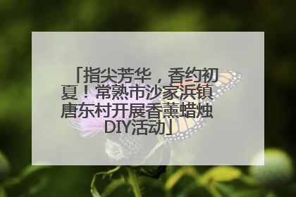 指尖芳华，香约初夏！常熟市沙家浜镇唐东村开展香薰蜡烛DIY活动