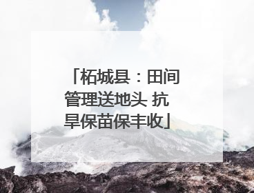 柘城县：田间管理送地头 抗旱保苗保丰收