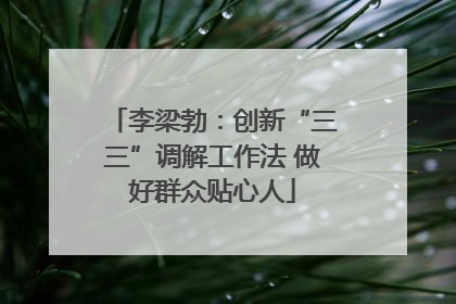 李梁勃：创新“三三”调解工作法 做好群众贴心人