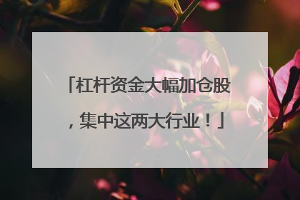 杠杆资金大幅加仓股，集中这两大行业！