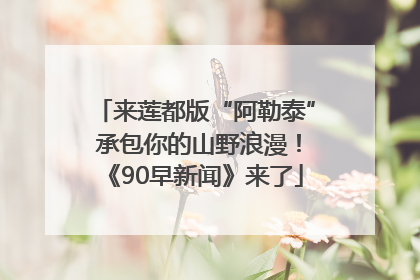 来莲都版“阿勒泰” 承包你的山野浪漫！《90早新闻》来了