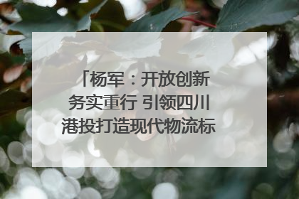 杨军：开放创新 务实重行 引领四川港投打造现代物流标杆｜致敬2024四川经济影响力人物