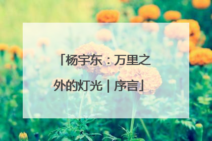 杨宇东：万里之外的灯光｜序言
