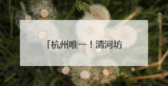 杭州唯一！清河坊历史文化街区再获一块“金字招牌”