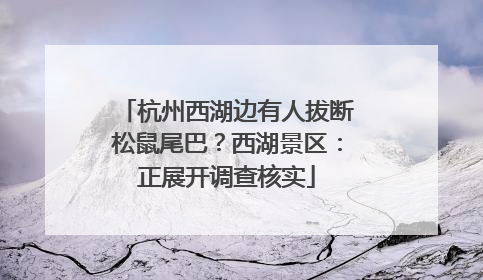 杭州西湖边有人拔断松鼠尾巴？西湖景区：正展开调查核实