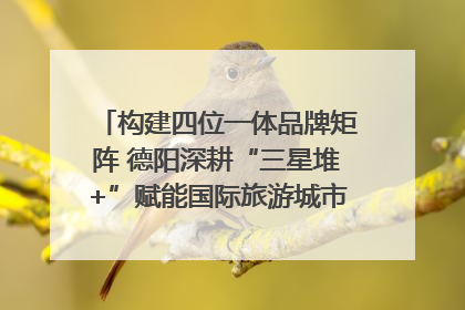 构建四位一体品牌矩阵 德阳深耕“三星堆+”赋能国际旅游城市建设｜文旅局长说